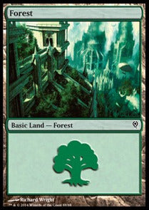 Forest (V.5) - Duel Decks: Jace vs. Vraska (Land) [DDM-88] Main image