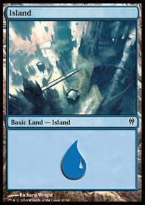 Island (V.5) - Duel Decks: Jace vs. Vraska (Land) [DDM-41] Hauptbild
