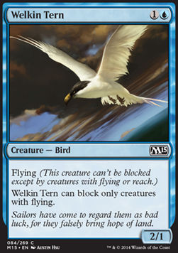 Welkin Tern Main image