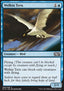 Welkin Tern