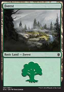 Forest (V.2) Immagine principale del prodotto