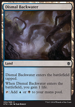 Dismal Backwater - Khans of Tarkir (Common) [KTK-232] Hauptbild