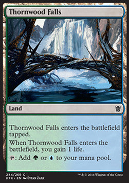 Thornwood Falls - Khans of Tarkir (Common) [KTK-244] Hauptbild