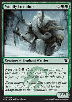 Woolly Loxodon Immagine principale del prodotto