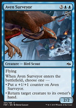 Aven Surveyor - Fate Reforged (Common) [FRF-31] Hover Image