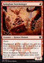 Kolaghan Stormsinger - Dragons of Tarkir (Common) [DTK-145]