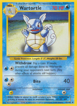 Wartortle Hoofdafbeelding