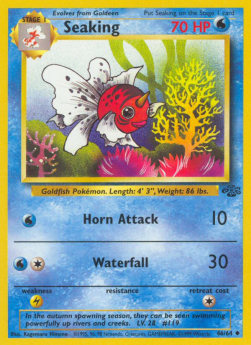 Seaking Hoofdafbeelding
