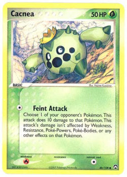 Cacnea Immagine principale del prodotto