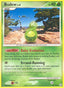 Budew Lv.6