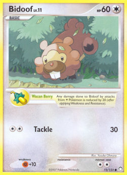 Bidoof Lv.11