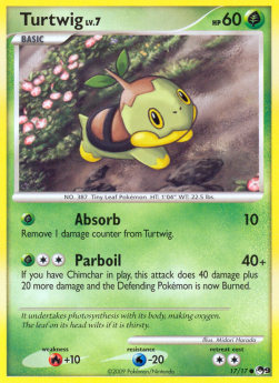 Turtwig Lv.7