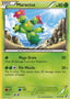 Maractus