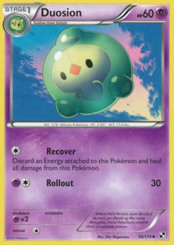 Duosion