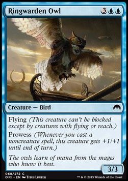 Ringwarden Owl - Magic Origins (Common) [ORI-68] Immagine principale del prodotto