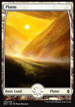Plains (V.1) - Battle for Zendikar (Land) [BFZ-250] Hauptbild