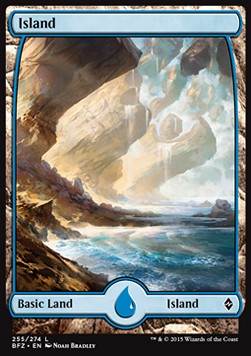Island (V.1) - Battle for Zendikar (Land) [BFZ-255] Hauptbild