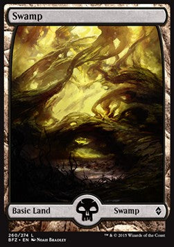 Swamp (V.1) - Battle for Zendikar (Land) [BFZ-260] Hauptbild
