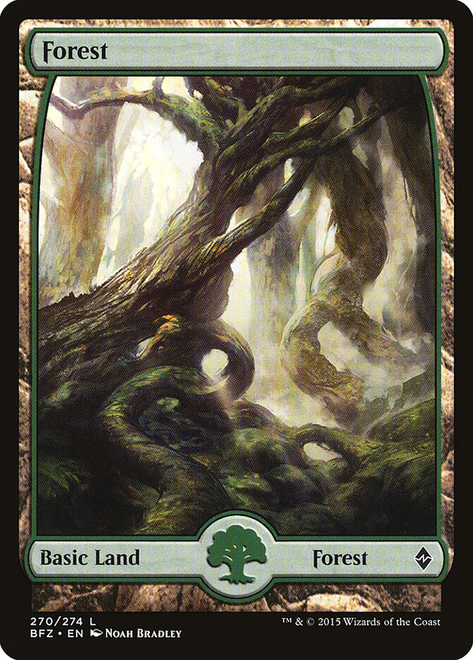 Forest (V.1) - Battle for Zendikar (Land) [BFZ-270] Hoofdafbeelding