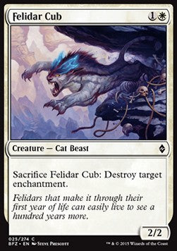 Felidar Cub - Battle for Zendikar (Common) [BFZ-25] Hover Image