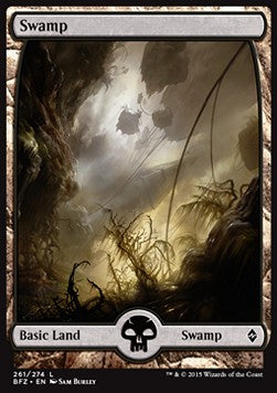 Swamp (V.3) - Battle for Zendikar (Land) [BFZ-261] Hauptbild