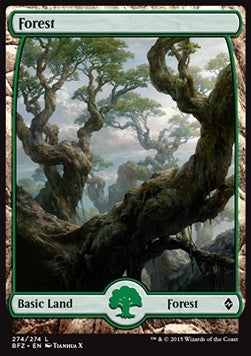 Forest (V.9) - Battle for Zendikar (Land) [BFZ-274] Hauptbild