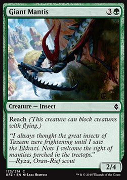 Giant Mantis - Battle for Zendikar (Common) [BFZ-173] Hoofdafbeelding