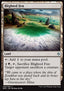 Blighted Fen - Battle for Zendikar (Uncommon) [BFZ-230]