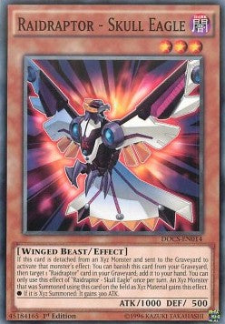 Raidraptor - Skull Eagle - Dimension of Chaos (Common) [DOCS-014]