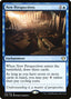 New Perspectives – Commander: Ikoria (C20-119) Magic: The Gathering card