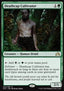 Deathcap Cultivator - Shadows over Innistrad (Rare) [SOI-202]