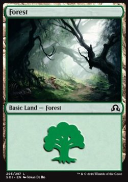 Forest (V.1) - Shadows over Innistrad (Land) [SOI-295] Hauptbild