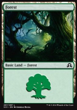 Forest (V.3) - Shadows over Innistrad (Land) [SOI-297] Hauptbild