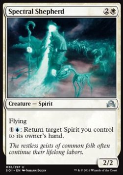 Spectral Shepherd - Shadows over Innistrad (Uncommon) [SOI-38] Hauptbild