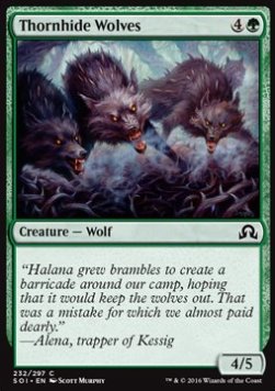 Thornhide Wolves - Shadows over Innistrad (Common) [SOI-232] Immagine principale del prodotto