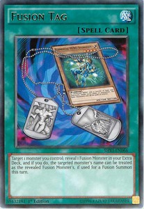 Fusion Tag - Shining Victories (Rare) [SHVI-066]