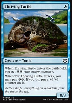 Thriving Turtle Main image