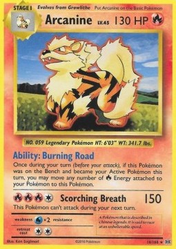 Arcanine - Evolutions (Rare) [EVO-18] Main image