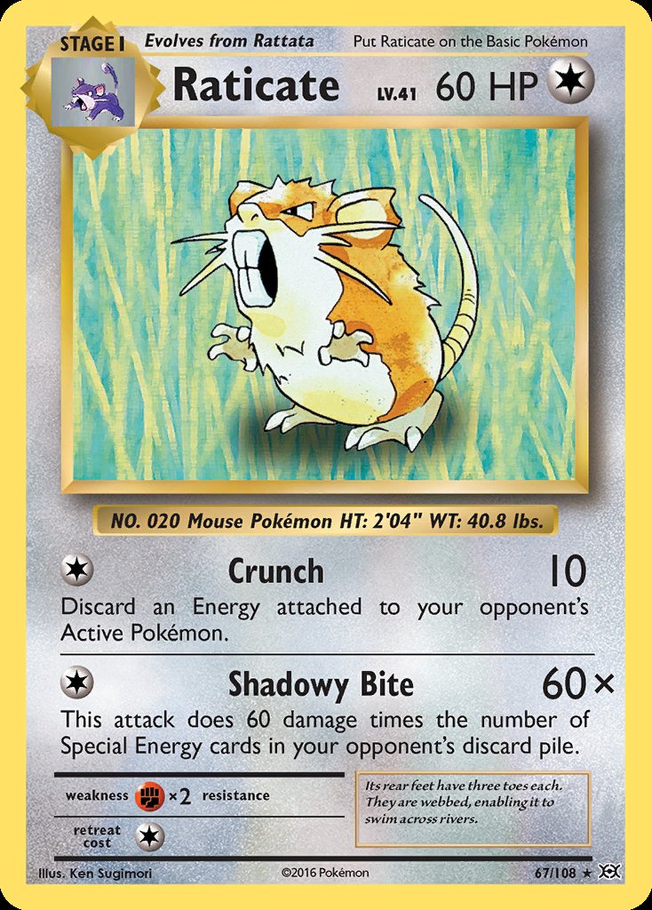 Raticate - Evolutions (Rare) [EVO-67] Hoofdafbeelding