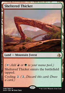 Sheltered Thicket - Amonkhet (Rare) [AKH-248] Main image
