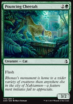 Pouncing Cheetah - Amonkhet (Common) [AKH-179] Hover Image