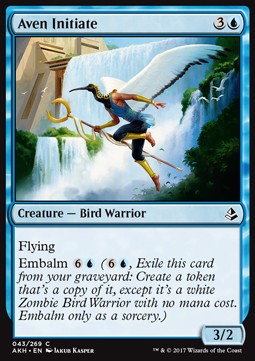 Aven Initiate - Amonkhet (Common) [AKH-43] Hover Image