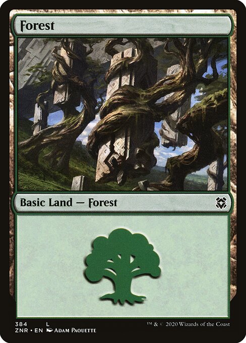 Forest – Zendikar Rising (ZNR-384) Magic: The Gathering card | LC-REM-20260804-15765056880972-2b90e88b-60a3-4d1d-bb8c-14633e5005a5
