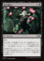 Magic-kaart Nowhere to Run DSK-111 uit Duskmourn: House of Horror (Uncommon)