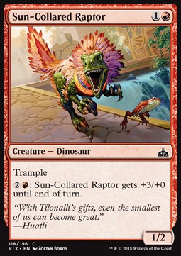 Sun-Collared Raptor - Rivals of Ixalan (Common) [RIX-118] Main image