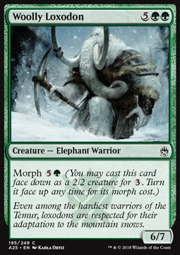 Woolly Loxodon - Masters 25 (Common) [A25-195]