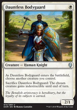Dauntless Bodyguard Hoofdafbeelding