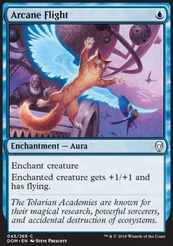 Arcane Flight Hauptbild