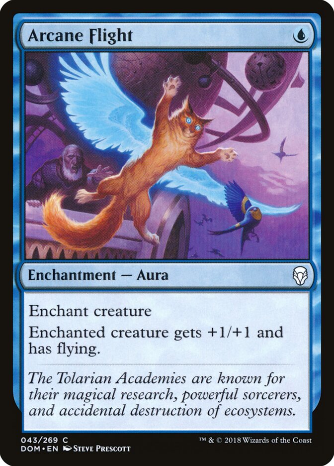 Arcane Flight - Dominaria (Common) [DOM-43] Main image