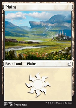 Plains (V.1) - Dominaria (Land) [DOM-250]